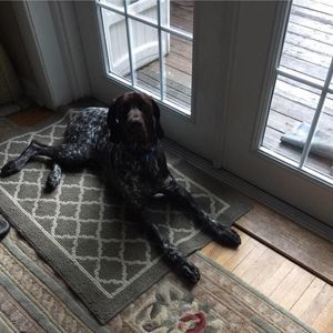 Meet your Posher, Barbara-lee